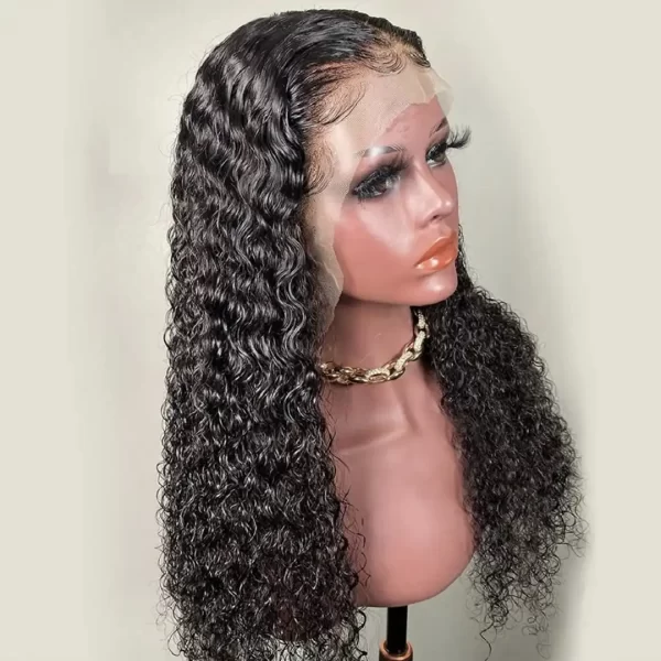 Curly 13x4 HD Lace Human Hair Wig